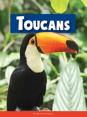 Toucans - ebook